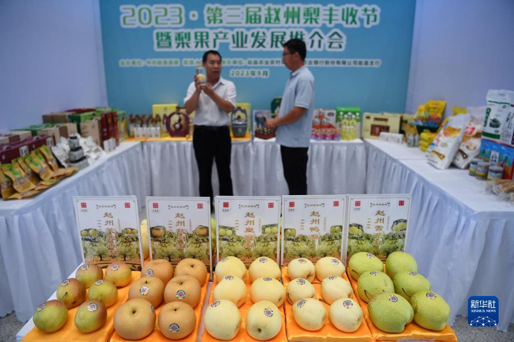 摆脱网址